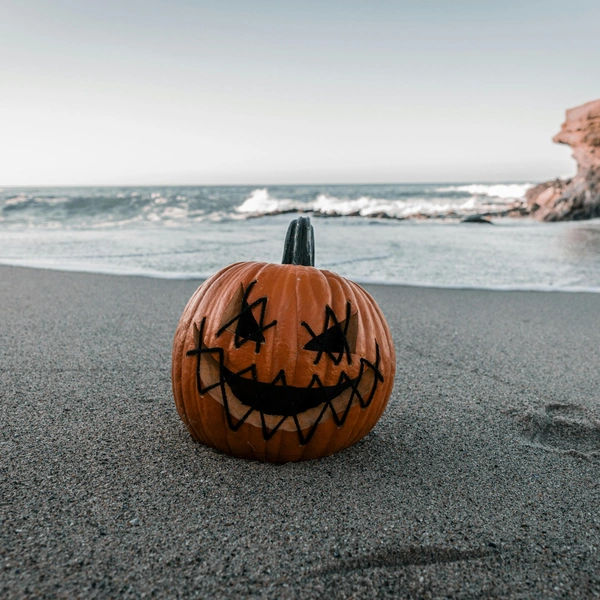 Источник: Unsplash