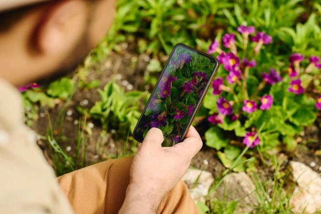 В цветочных питомниках Санкт-Петербурга расцвёл 4G | Источник: shironosov/istockphoto
