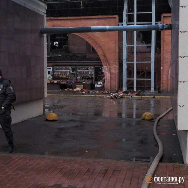 Источник: Михаил Огнев / FONTANKA.RU