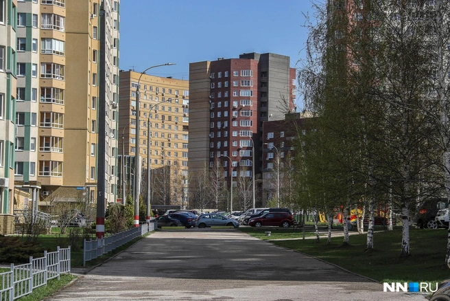 Дорога связывает Верхние Печёры и Кузнечиху | Источник: Наталья Бурухина / NN.RU