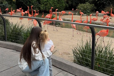 Югорская блогер посетила зоопарк Сан-Диего и музей автомобилей