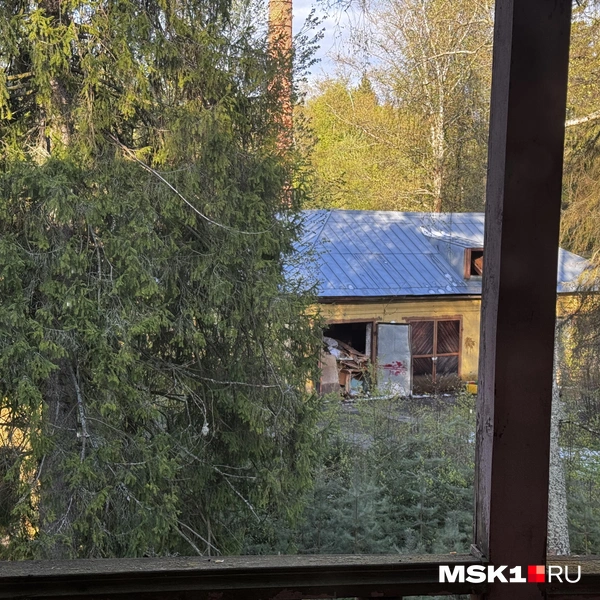 Источник: Алина Мельникова / MSK1.RU