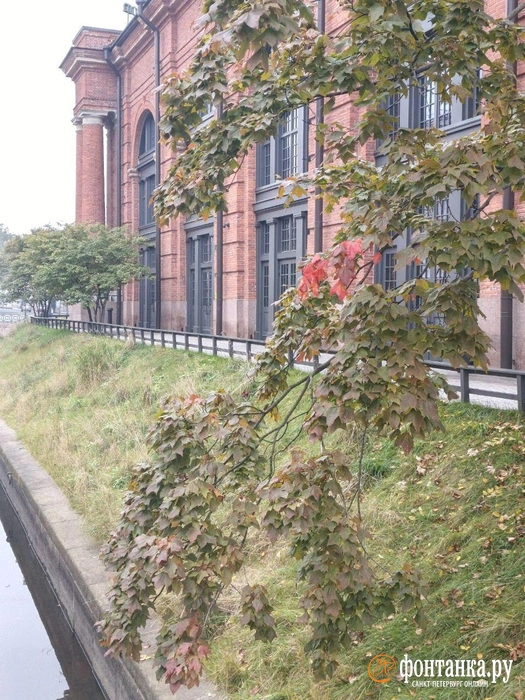 В Новой Голландии пройдет фестиваль умной литературы «Ревизия» | Источник: Алина Циопа / «Фонтанка.ру»