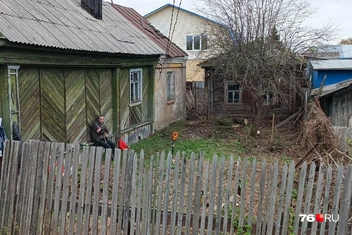 Сейчас территорию расчистили | Источник: Антон Королев