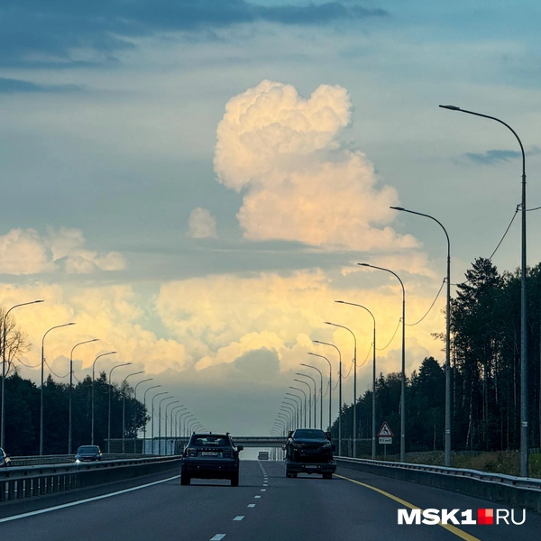 Источник: Артем Устюжанин / MSK1.RU