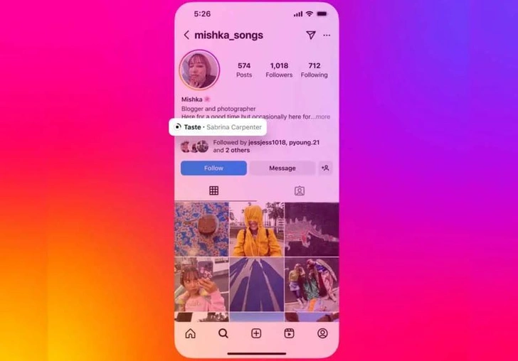 Новая функция в Instagram: теперь можно добавить музыку в описание профиля | Источник: The Verge
