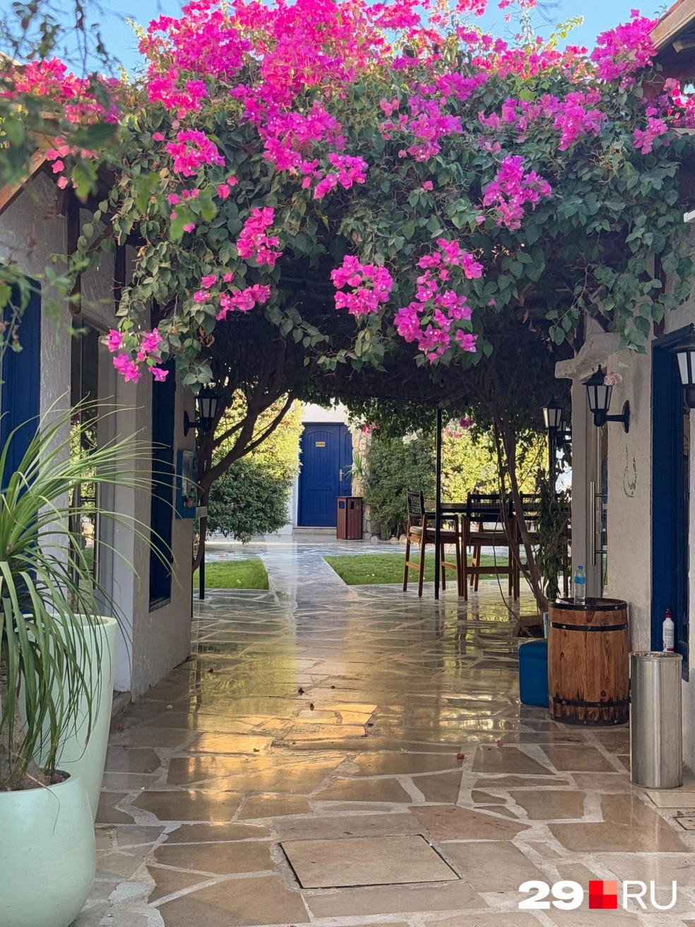 А еще мы нашли вот такой кусочек Греции | Источник: Валерия Богатырева / 29.RU