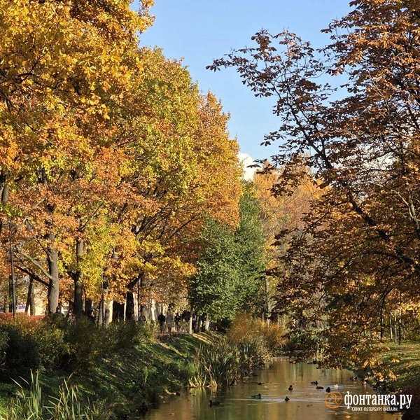 Источник: читательница «Фонтанки» Елена