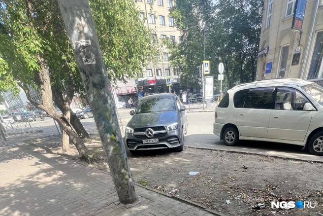 Вероятно, автомобилист перепутал газон с автостоянкой | Источник: читатель НГС