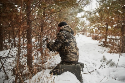 56-летнего туляка судят за вырубку деревьев в Заокском районе