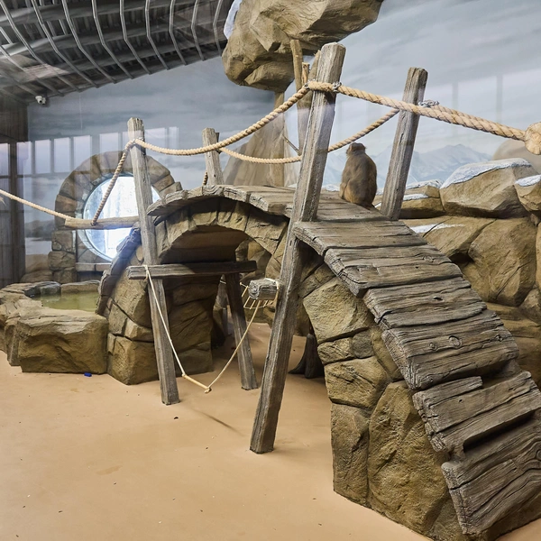 У макак есть пространство, где можно полазить  | Источник: Александр Ощепков / NGS.RU