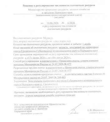 Приказ об отстреле медведя опубликовали на сайте Минприроды | Источник: priroda.permkrai.ru