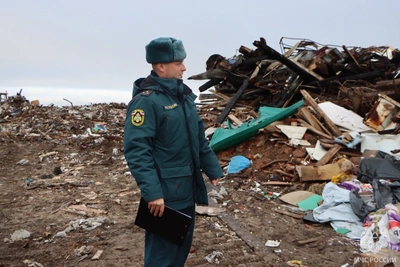 МЧС проверяет причины пожара на полигоне ТБО в Нарьян-Маре