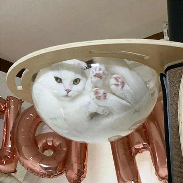 Источник: соцсети