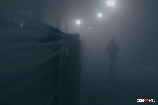 Источник: Иван Митюшёв / 29.RU