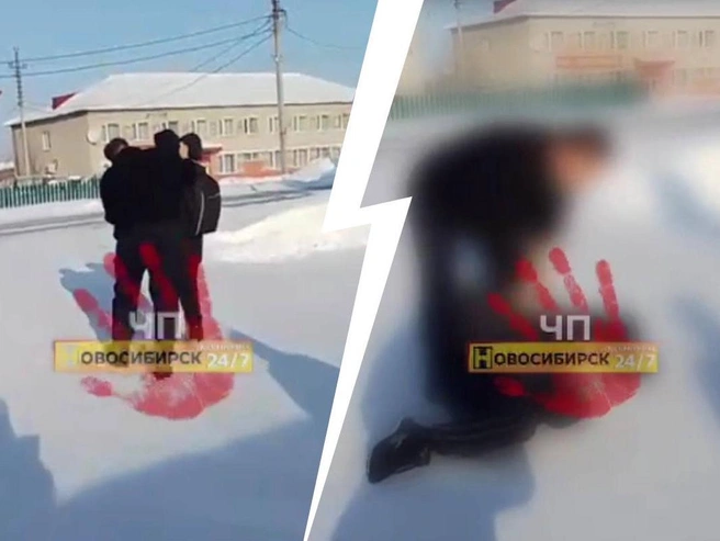 В ведомстве отметили, что заявления от граждан или родителей школьника не поступали. | Источник: ЧП Новосибирск / Телеграм