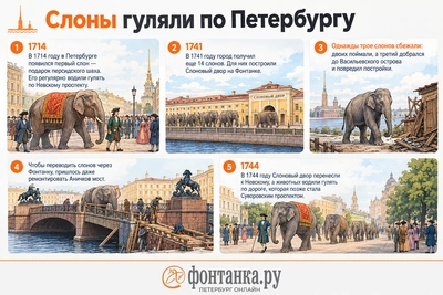 Как слоны гуляли по улицам Петербурга