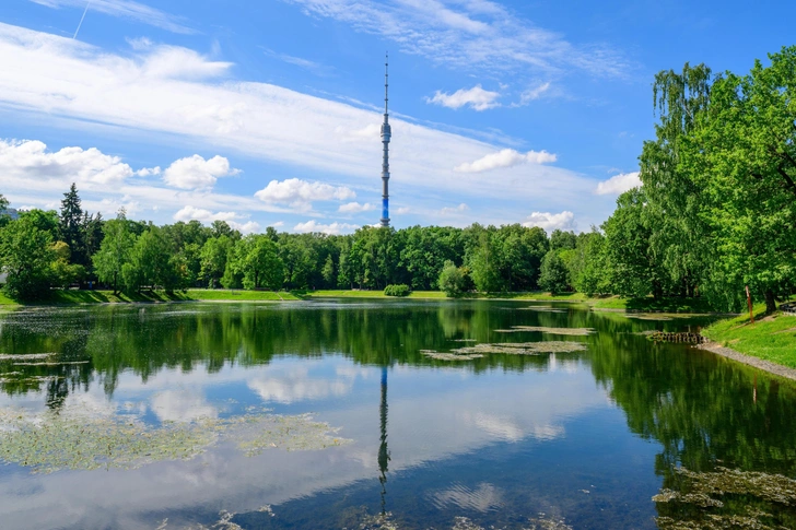 Источник: SSV.Photo/Shutterstock/Fotodom.ru