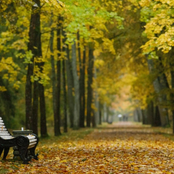 Источник: музей-заповедник «Петергоф»