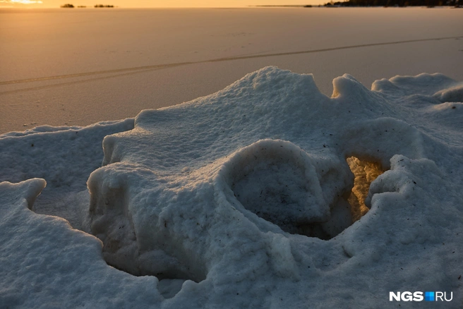 Источник: Александр Ощепков / NGS.RU