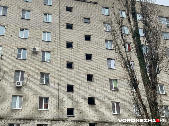 Источник: Дмитрий Волгин / Voronezh1.ru