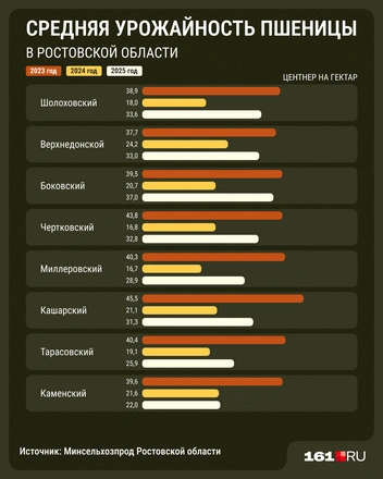 Источник: Мария Романова / 161.RU