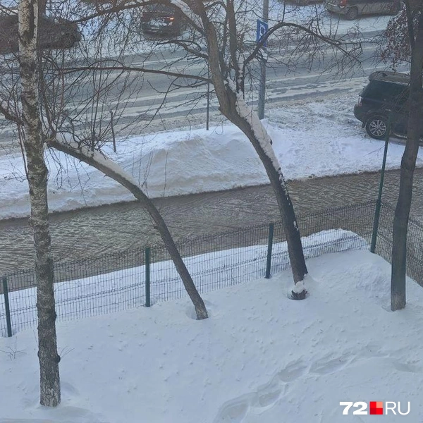 Источник: читатель 72.RU