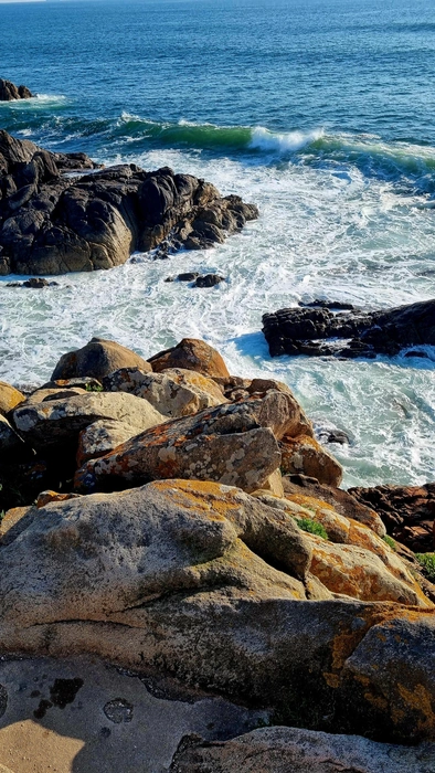 «Океан — это мощная стихия, которая заряжает энергией и дает импульс для новых идей» | Источник: Ольга Черничкина