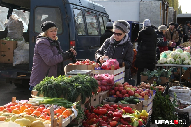 Фермеры готовят свой урожай для продажи | Источник: Тимур Шарипкулов