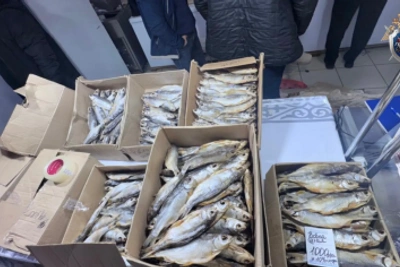 Астраханец предстанет перед судом за хранение немаркированной рыбы