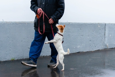 На юге области тепло, на севере дождь