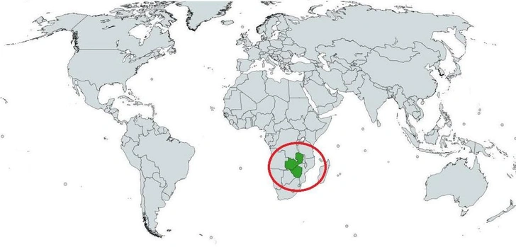 Быстрый тест на географическую сообразительность: что изображено на этой карте мира? | Источник: Brilliant Maps