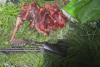 В тайнике «Нивы» нашли мясо косули и ружьё браконьера