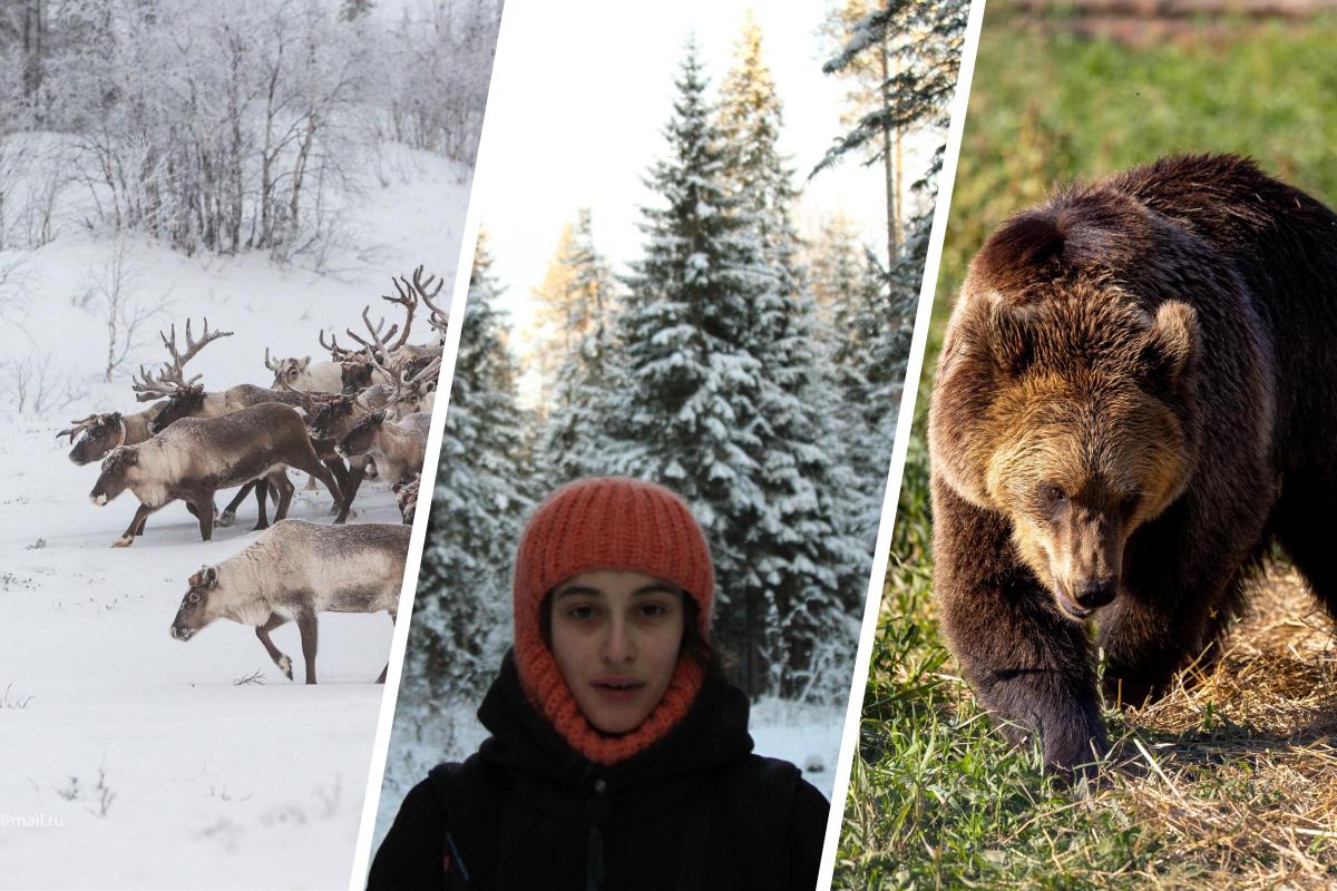 Писала про оленей, смерть и преступников: журналистка 29.RU о своих лучших материалах за 2025 год