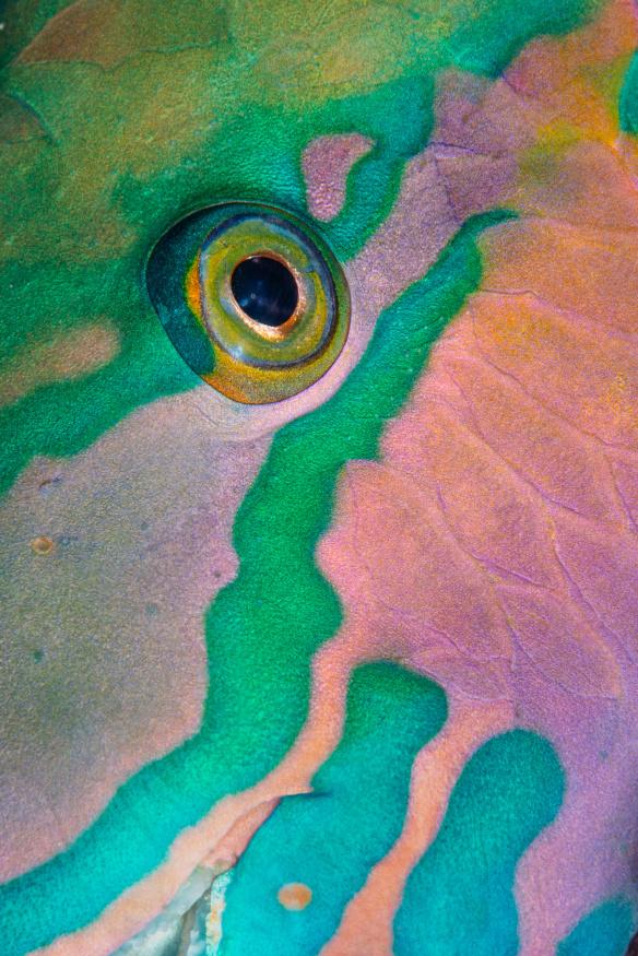 «В гриме» | Источник: Надежда Кулагина (Казахстан)