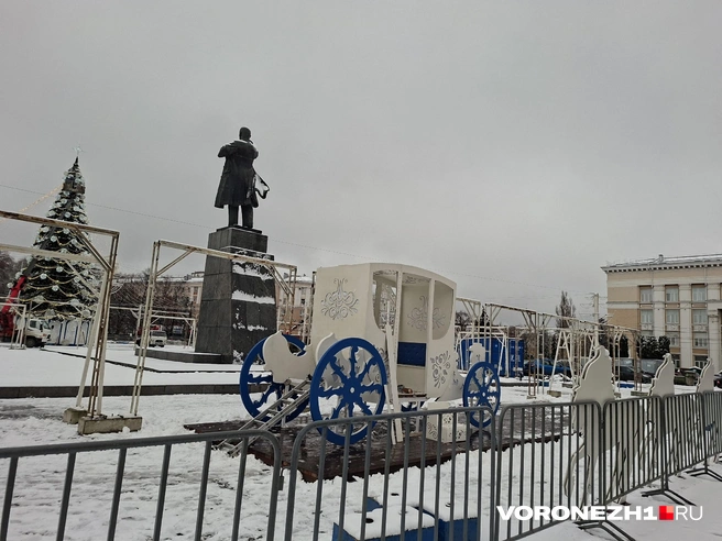 Источник: Алёна Воропаева / Voronezh1.ru