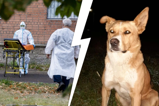 Главные новости на утро воскресенья | Источник: Александра Савельева, Некрасовское (Ярославская область) / Vk.com