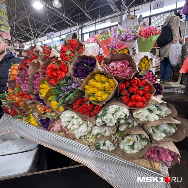 Источник: Артем Устюжанин / MSK1.RU