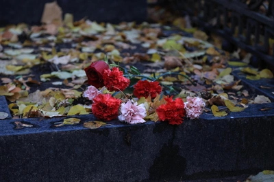 Sister Must Pay for Brother's Grave Desecration