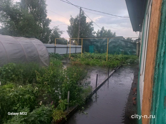 Источник: city-n.ru