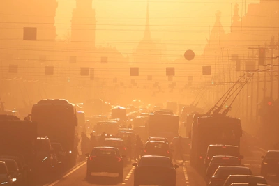 Эксперты предупредили о хаосе при снижении штрафного порога до 3 км/ч