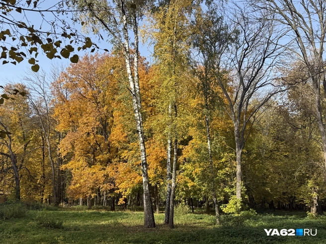 Небо в эти дни прозрачно как никогда | Источник: Сергей Петунин / YA62.RU