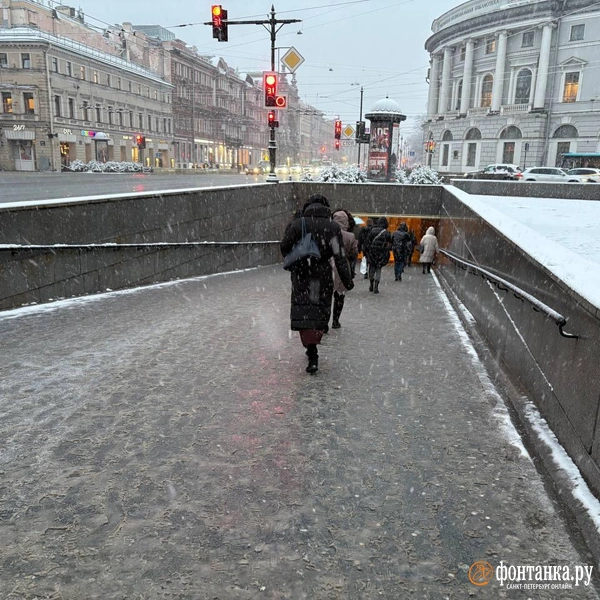 Источник: Мария Цыганкова / FONTANKA.RU