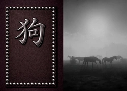 Год Лошади 2026: прогноз для Собаки