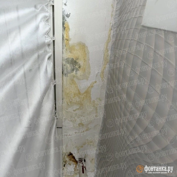 Источник: Читатель «Фонтанки»