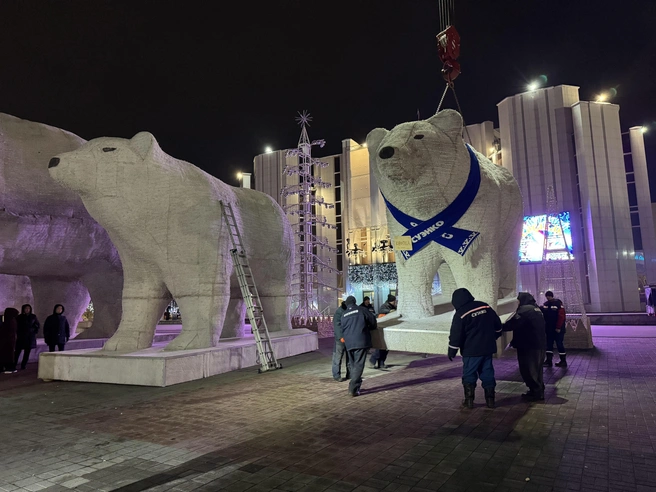 А здесь уже ставят Кнопку рядом с мамой-медведицей | Источник: Юлия Король / 45.RU