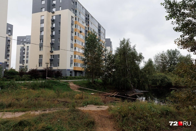 Неподалеку у воды стоят многоэтажные дома. Наверное, до них доходит «аромат» от водоема | Источник: Ирина Шарова / 72.RU
