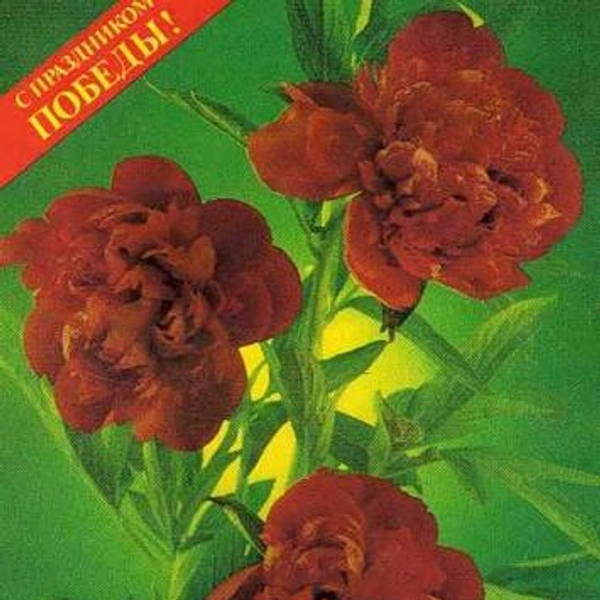 Источник: соцсети