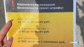 Источник: Тамара Ван-Фу-Ли / CHITA.RU