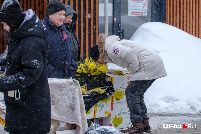 Не понюхав, не выбрать сочный букет | Источник: Булат Салихов / UFA1.RU